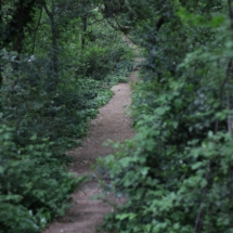 Validebağ Parkı