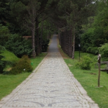 Atatürk Arboretum Gezisi