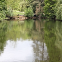 Atatürk Arboretum Sarıyer