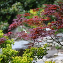 Atatürk Arboretum Sarıyer İstanbul