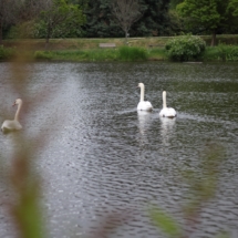 Atatürk Arboretum