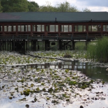 Acarlar Longozu Restoran